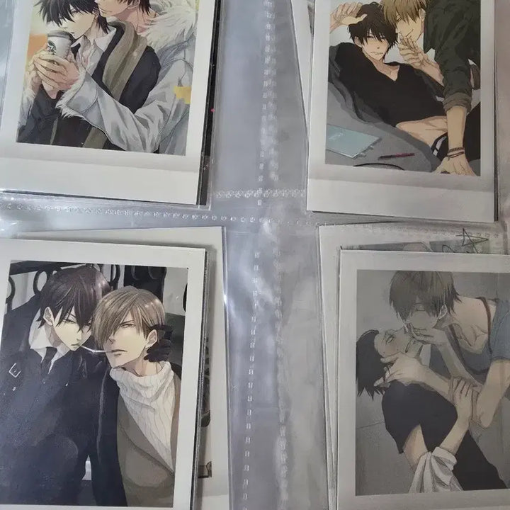 [BUNJANG] An Gi Nam Pasha Photocard Full Set / (급전!!) 안기남 파샤 포토카드 전종