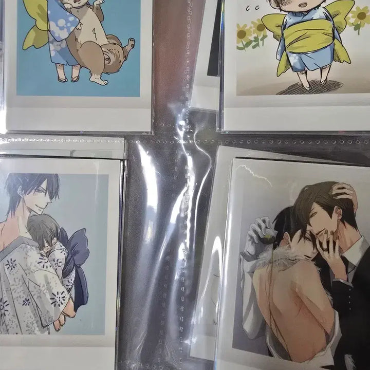 [BUNJANG] An Gi Nam Pasha Photocard Full Set / (급전!!) 안기남 파샤 포토카드 전종