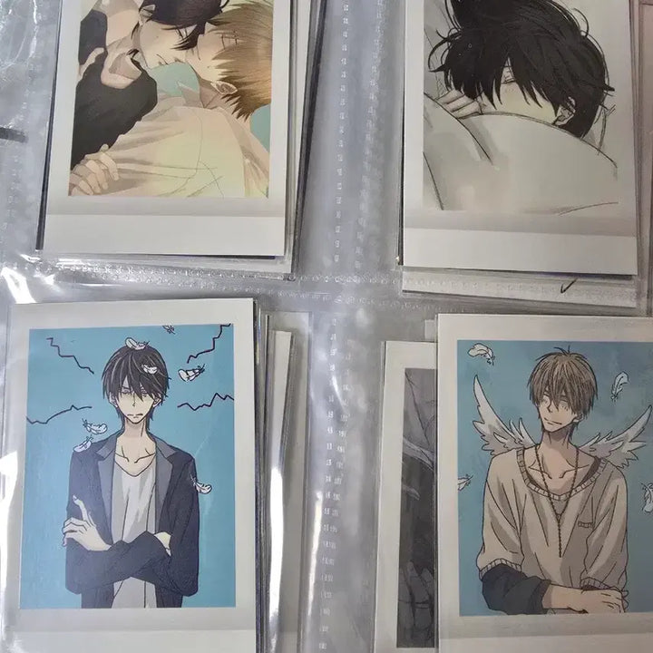 [BUNJANG] An Gi Nam Pasha Photocard Full Set / (급전!!) 안기남 파샤 포토카드 전종