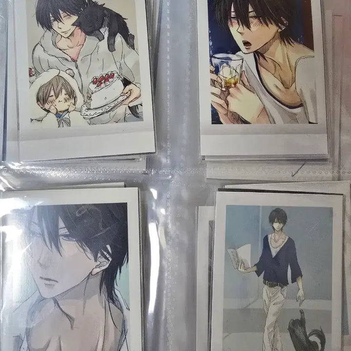[BUNJANG] An Gi Nam Pasha Photocard Full Set / (급전!!) 안기남 파샤 포토카드 전종