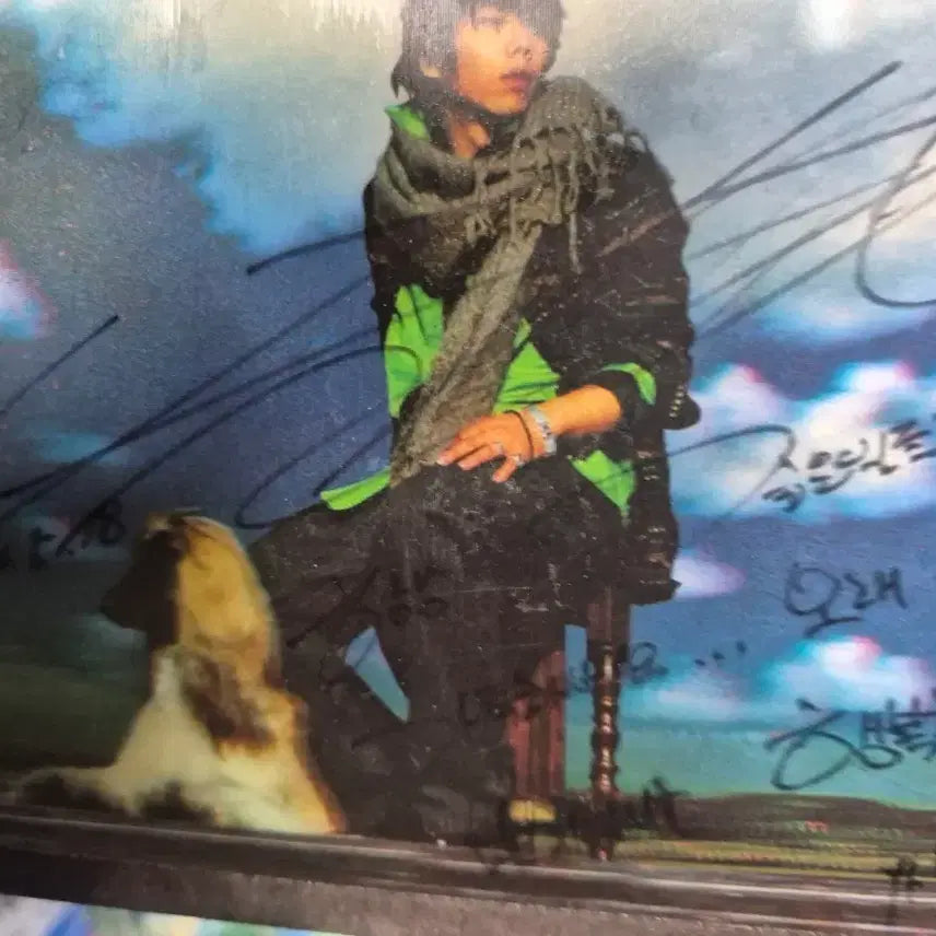 [BUNJANG] Park Hyo Shin Soul Tree 4th Album Signed / 박효신 4집 Soul Tree 친필싸인반