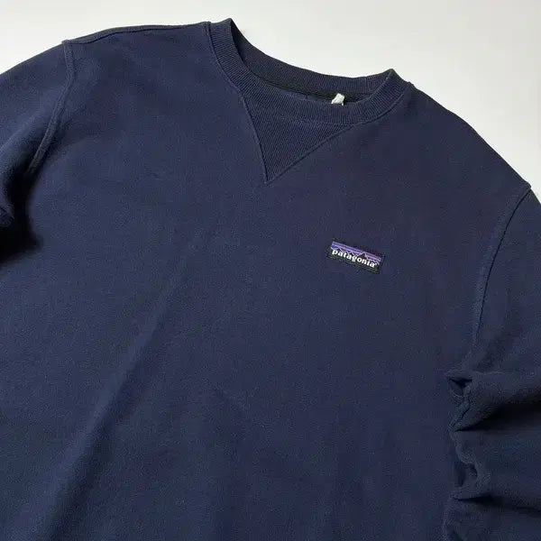 [BUNJANG] Patagonia Signature Crewneck Logo Sweatshirt / 파타고니아 시그니처 크루넥 로고 맨투맨 PN8350