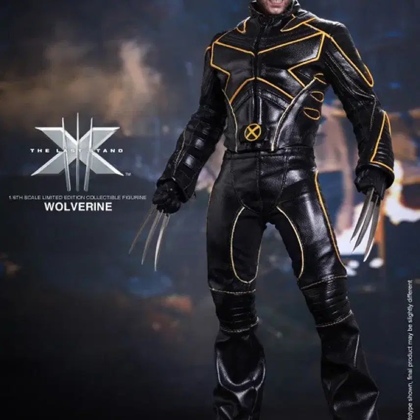 [BUNJANG] Hot Toys X-Men Action Figure / 핫토이 엑스맨