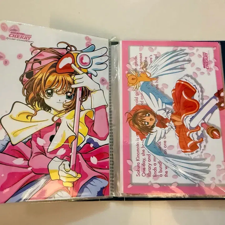 [BUNJANG] Anime Postcard Bundle Set / 90년대 애니 엽서 에반게리온 15장 슬레이어스외 총42장