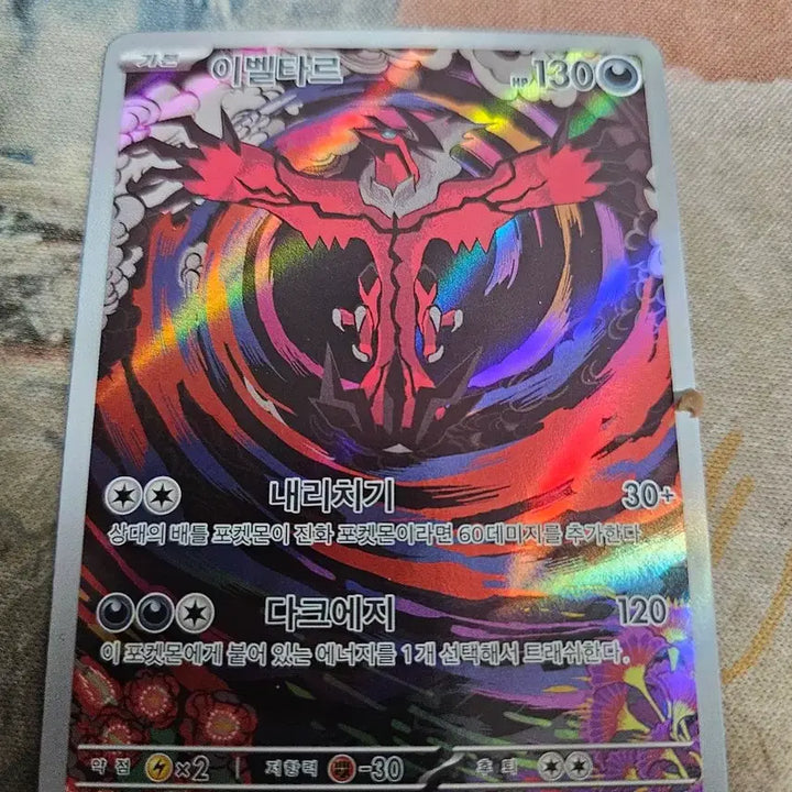 [BUNJANG] Pokemon Plush &amp; Yveltal AR Cards / 포켓몬 카드 AR 플러시, AR 이벨타르 [정품]