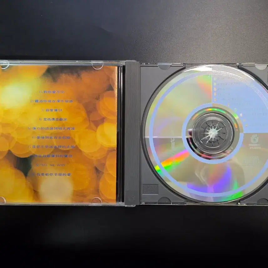 [BUNJANG] Aaron Kwok CD / 0307 궈푸청(곽부성)  CD