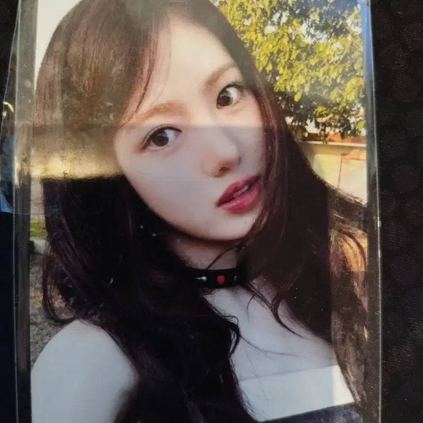 [BUNJANG] Kiiikiii Sui Photocard / 키키 댄싱 얼론 dacing alone  공방 수이 포카 양도
