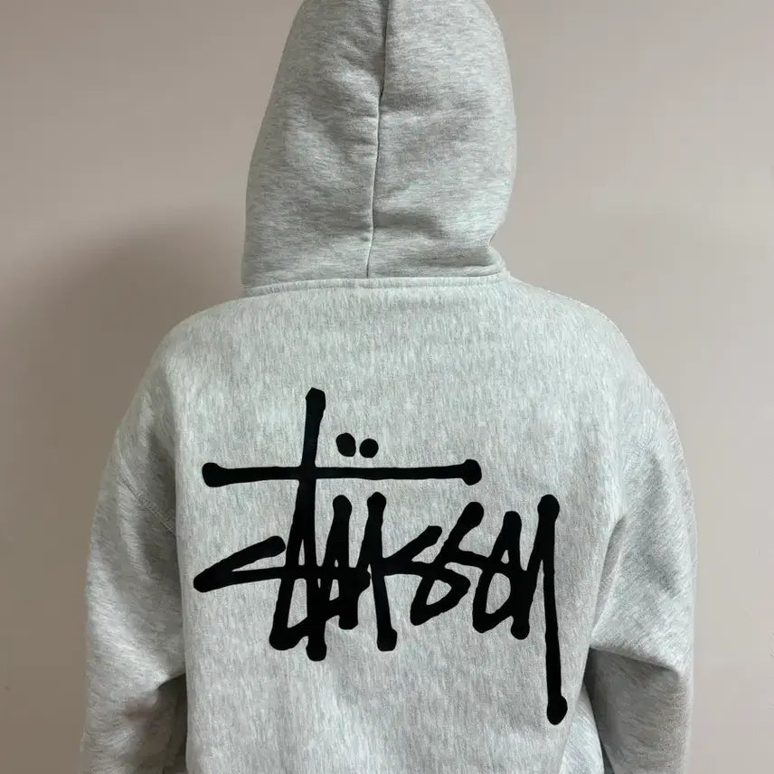 [BUNJANG] Stussy Hoodie / 스투시 후드티