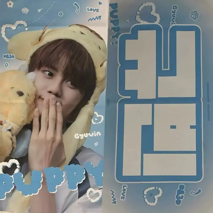[BUNJANG] Kim Gyuvin Slogan / 김규빈 슬로건