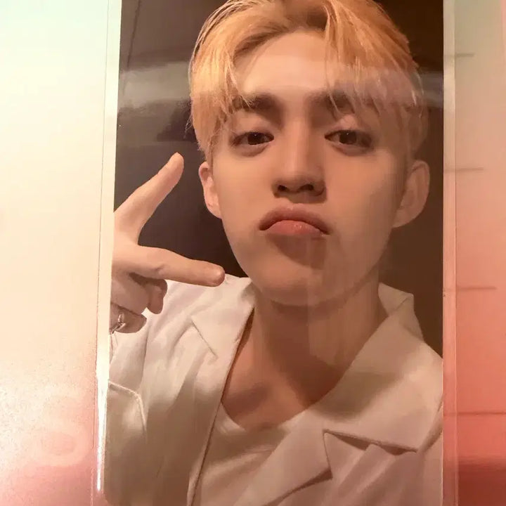 [SOLD OUT] 스필더필스 위버스 특전 에스쿱스