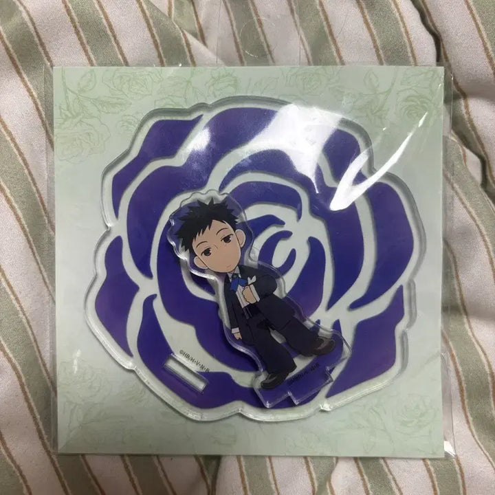 [BUNJANG] Ouran High Host Club Mori Acrylic Coast / 오란고교 콜라보 카페 모리 아크릴 코스트