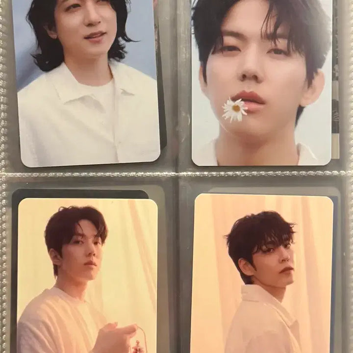 [BUNJANG] DAY6 Pier Ten Bundle Set Trading Cards / 데이식스 피어텐 트레카 일괄판매