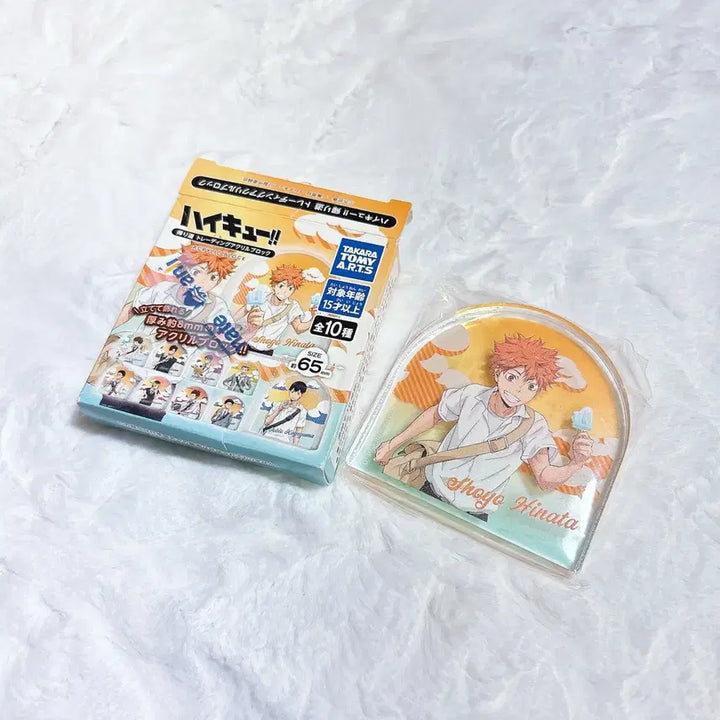 [BUNJANG] Haikyu Hinata Shoyo Acrylic Block / 하이큐 아크릴블록 히나타 쇼요