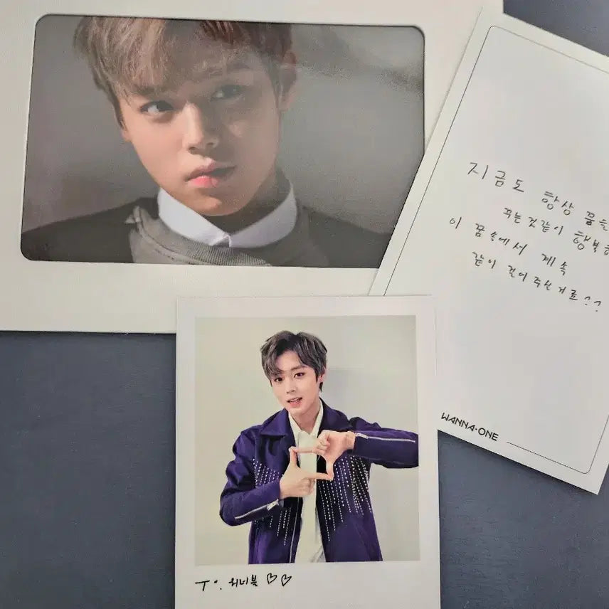 [BUNJANG] Park Jihoon Wanna One Fan-Con DVD Bundle Set / 박지훈 워너원 팬콘dvd 폴라+ 포토에세이 랜덤 특전