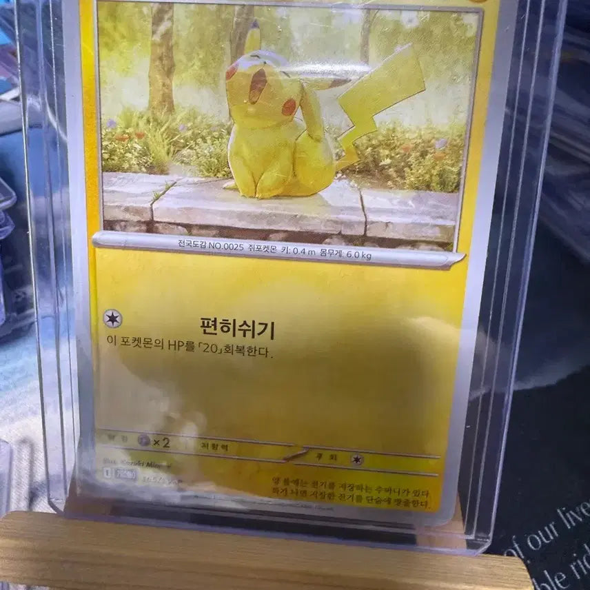 [BUNJANG] Pikachu Promo Card / 프로모 피카츄 카드