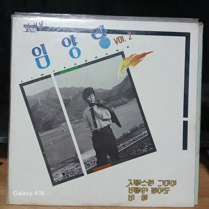 [BUNJANG] Lim Yang Rang 2nd Album LP Record / (미개봉)임양랑 2집 LP 레코드