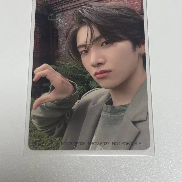 [BUNJANG] ENHYPEN Yuma First Howling ME Photocard / 앤팀 유마 first howling me 앨범 포토카드 포카 양도합니다!