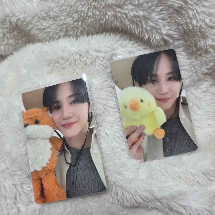 [BUNJANG] Yang Yoseob Unloved Echo Apple Music &amp; Olive Young Lucky Draw Photocard Bundle Set / 양요섭 Unloved Echo 애플뮤직 올리브영 럭키드로우