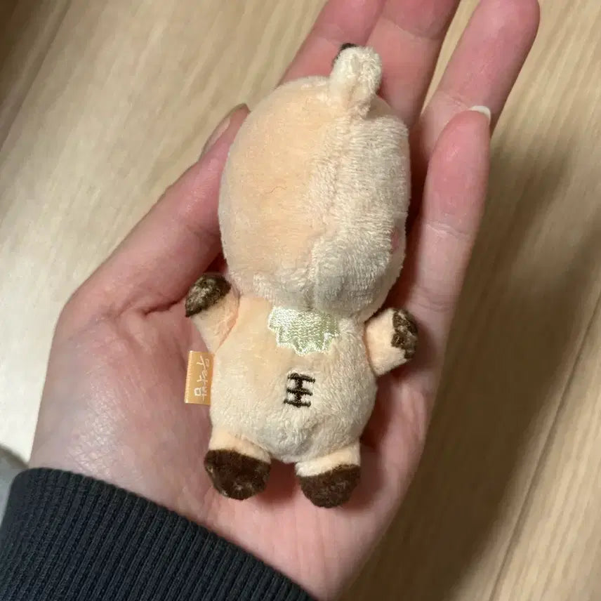 [SOLD OUT] 우락밤 스크런치 인형만