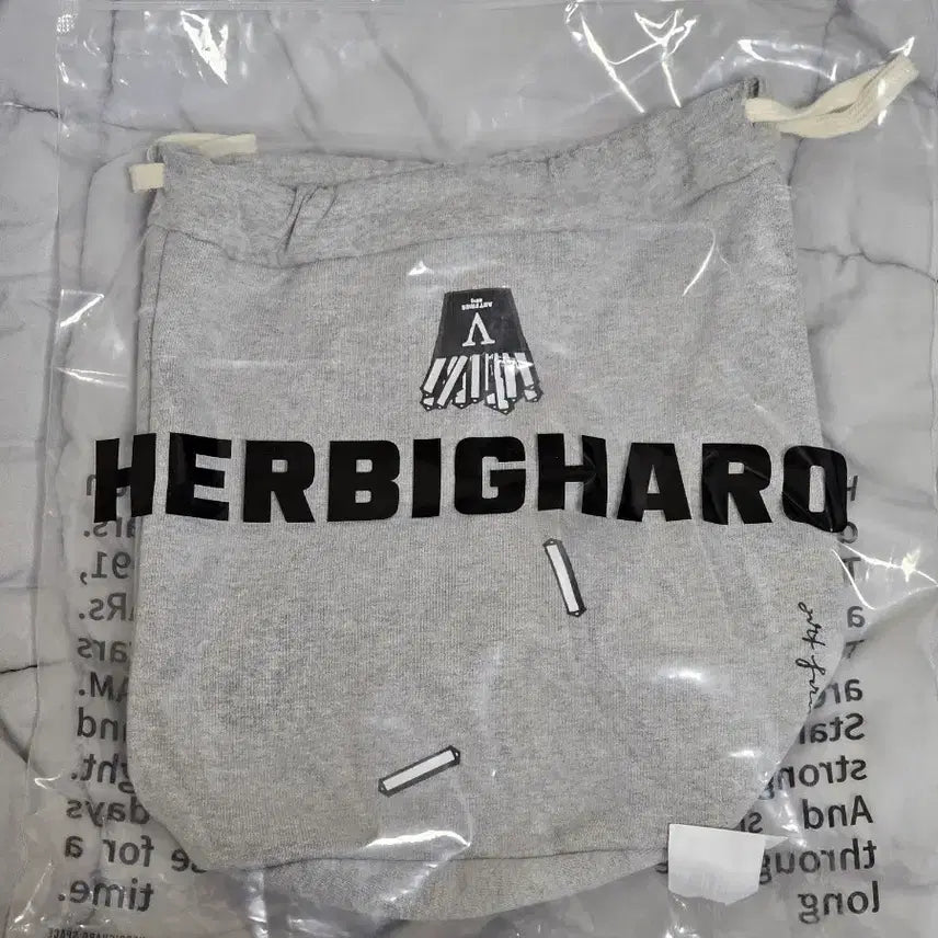 [BUNJANG] Park Hyo Shin Beethoven Pouch Bag / 박효신 베토벤 엠디 파우치백