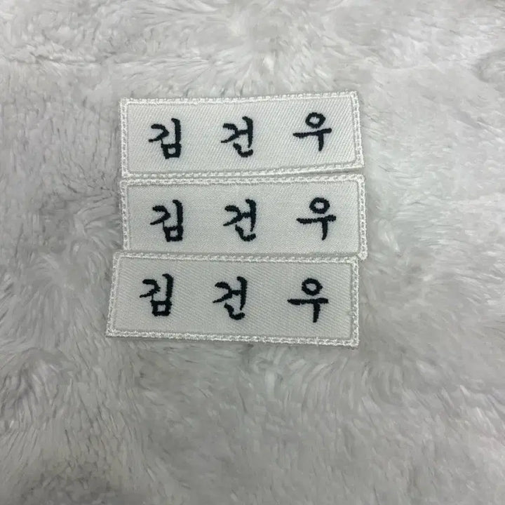 [BUNJANG] AlphaDriveOne Kim Gunwoo Name Tag / 알파드라이브원 김건우 명찰 판매
