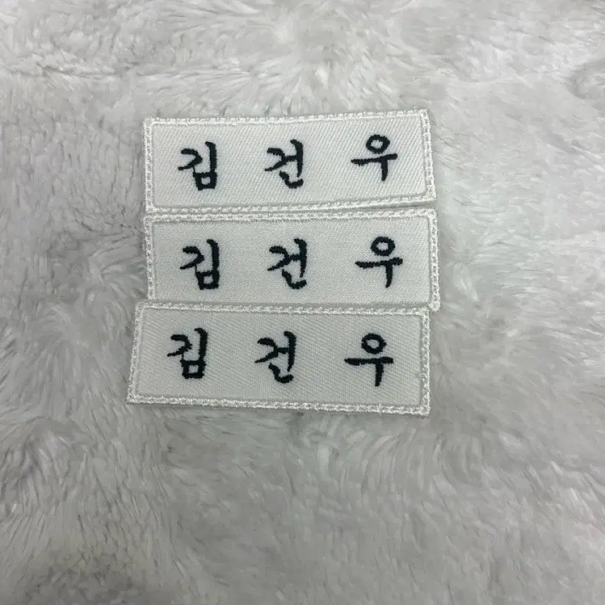 [BUNJANG] AlphaDriveOne Kim Gunwoo Name Tag / 알파드라이브원 김건우 명찰 판매