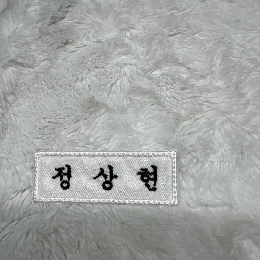 [BUNJANG] AlphaDriveOne Jung Sanghyun Name Tag (Pin) / 알파드라이브원 정상현 명찰판매 (핀O)