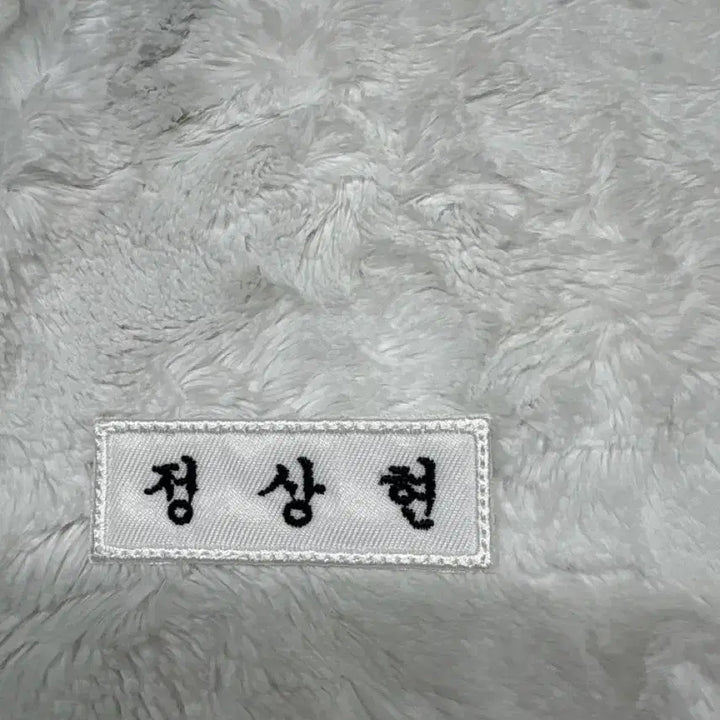 [BUNJANG] AlphaDriveOne Jung Sanghyun Name Tag (Pin) / 알파드라이브원 정상현 명찰판매 (핀O)