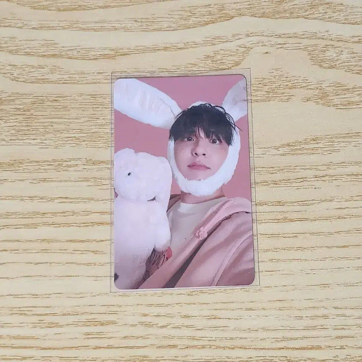 [BUNJANG] Day6 Wonpil POB / 데이식스 원필 시그 팬즈 특전