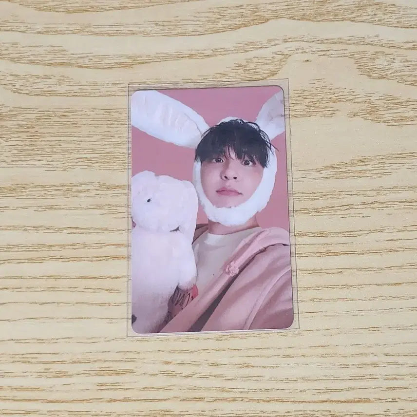 [BUNJANG] Day6 Wonpil POB / 데이식스 원필 시그 팬즈 특전