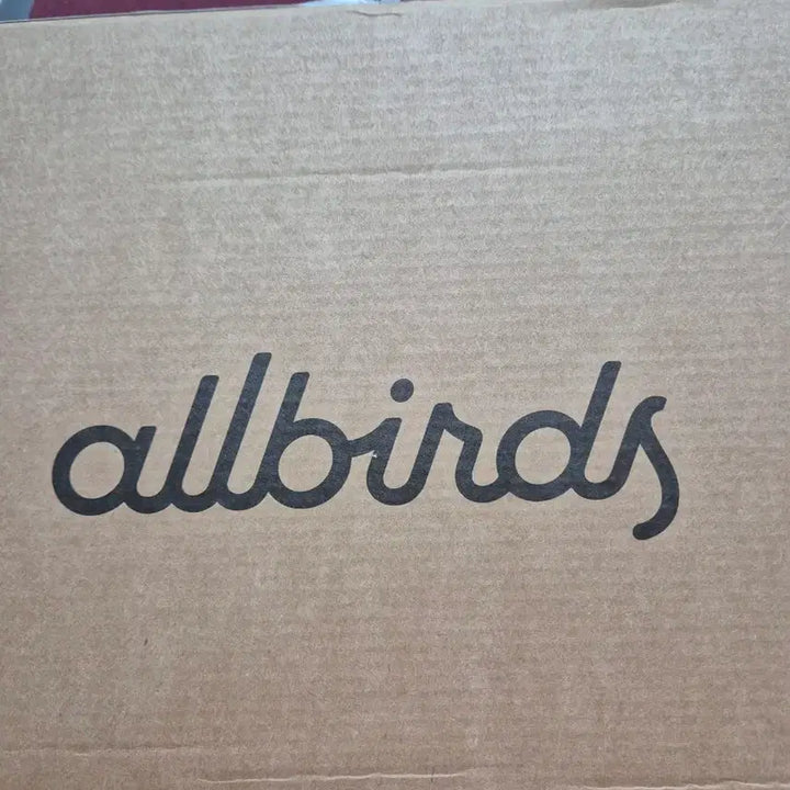 [BUNJANG] Allbirds Merino Wool Wool Runner Sneakers / 올버즈 메리노울 울러너