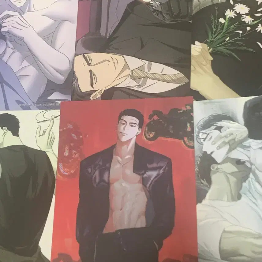 [BUNJANG] Noksaek Jeonsang Mofun POB Postcard Set / 녹색전상 모펀 특전 엽서 6장