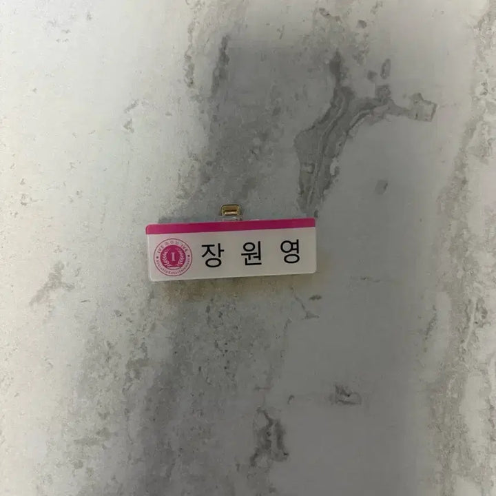 [BUNJANG] IVE Wonyoung Name Tag / 아이브 장원영 명찰