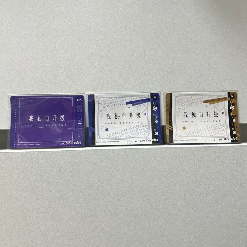 [BUNJANG] Solo Leveling Character Photocard Bundle Set / 나혼자만레벨업 카드 6장 일괄 (성진우,차해인,고건희,최종인,우진철)