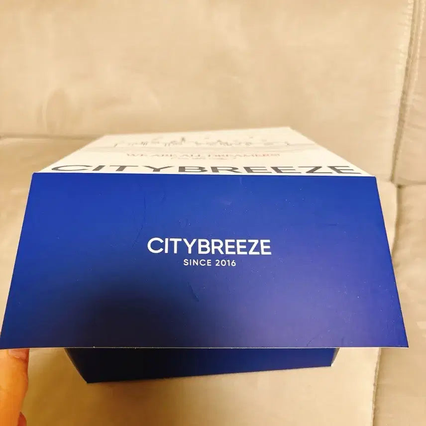 [BUNJANG] City Breeze Denim Embroidered Ball Cap / 시티브리즈 데님 자수 볼캡