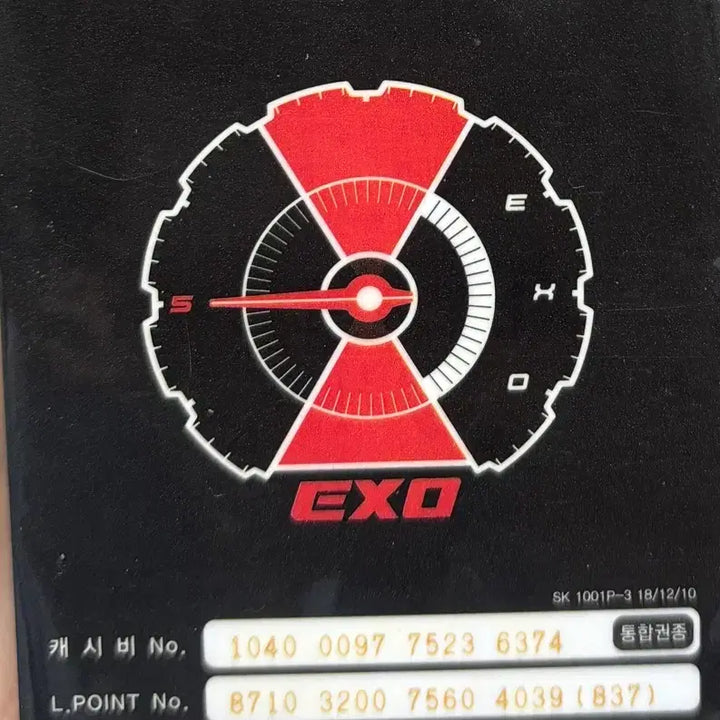 [BUNJANG] EXO Baekhyun Tempo Transportation Card / 변백현 교통카드