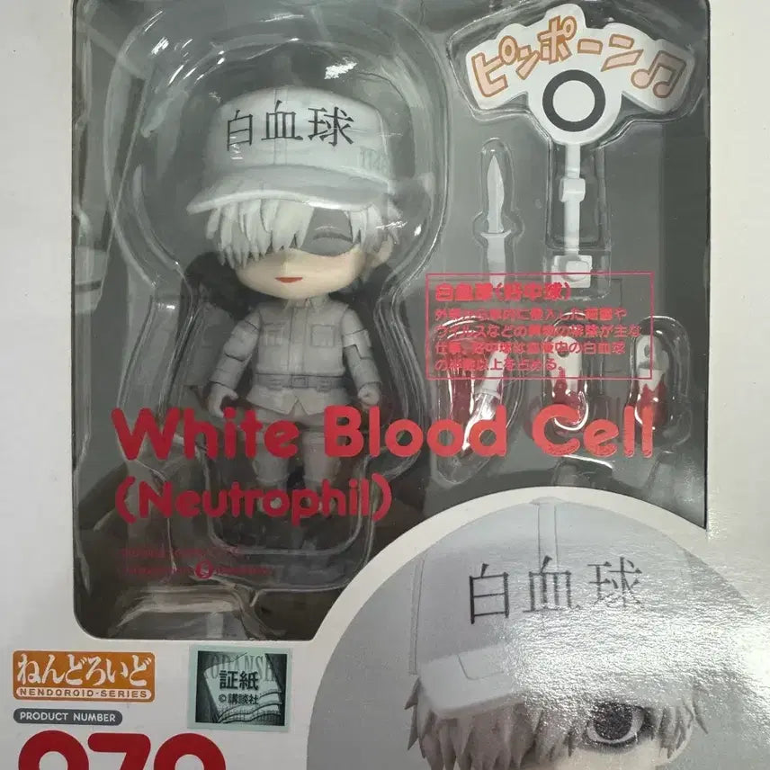 [BUNJANG] Cells at Work Neutrophil 1146 Nendoroid POB / (특전O) 일하는세포 백혈구 넨도로이드