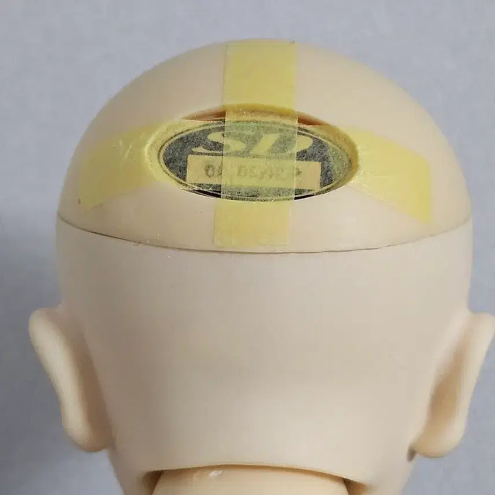[BUNJANG] Volks Tohya Head BJD Doll / BJD구체관절인형 보크스 토오야 헤드(Volks Tohya head)
