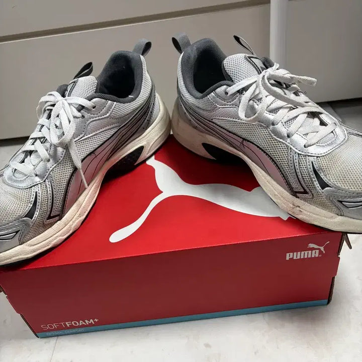 [BUNJANG] Puma Millenio TR Sneakers / [275] 푸마 밀레니오 TR