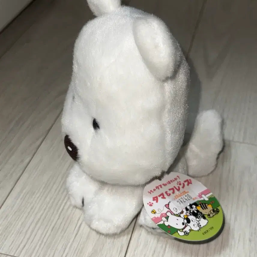[BUNJANG] Tama and Friends Pochi Plush Doll / 타마와 친구들 포치 인형