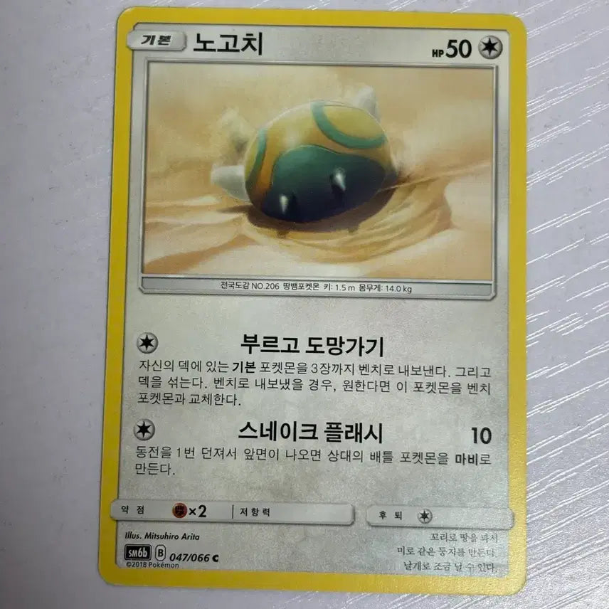 [SOLD OUT] [귀여운 포켓몬카드] 노고치
