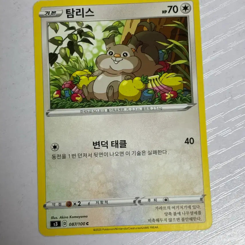 [BUNJANG] Pokemon Tamers Card / [귀여운 포켓몬카드] 탐리스