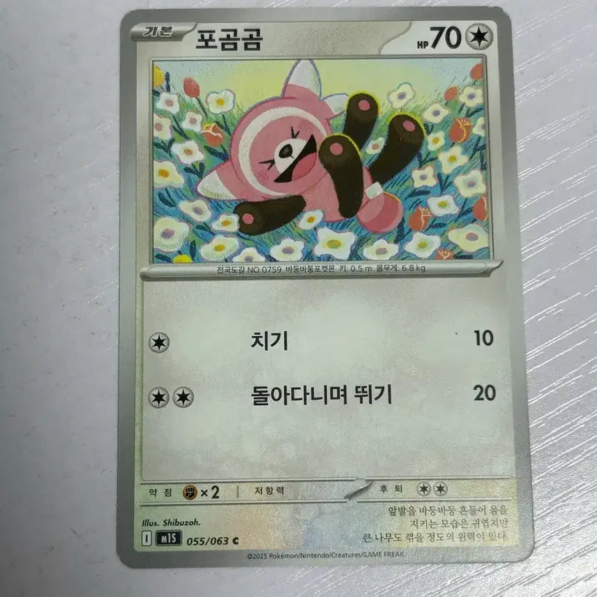[SOLD OUT] [귀여운 포켓몬카드] 포곰곰