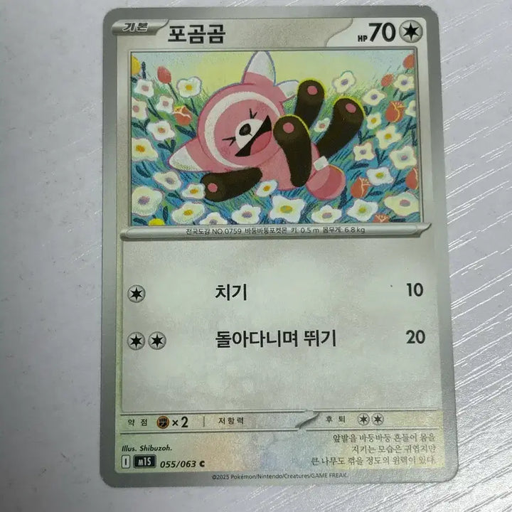 [SOLD OUT] [귀여운 포켓몬카드] 포곰곰