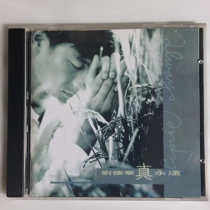 [BUNJANG] Andy Lau Always Andy CD / 유덕화 (류더화) Always Andy CD