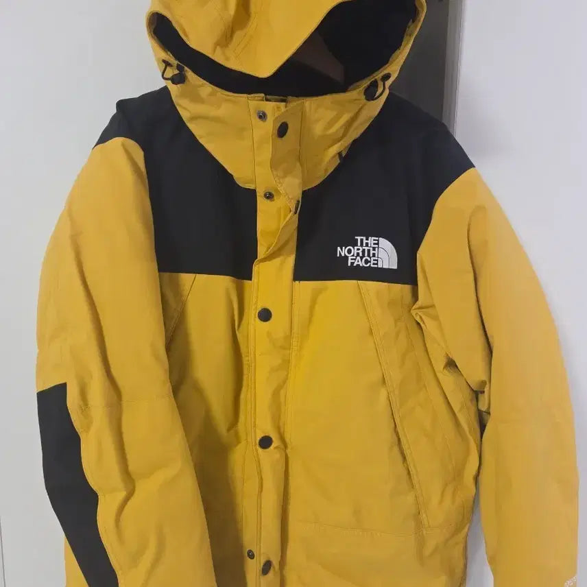 [BUNJANG] The North Face Gore-Tex Down Padded Jacket / 노스페이스 고어텍스 패딩