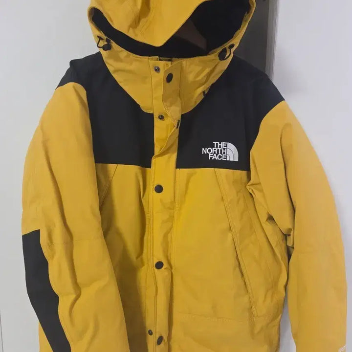 [BUNJANG] The North Face Gore-Tex Down Padded Jacket / 노스페이스 고어텍스 패딩