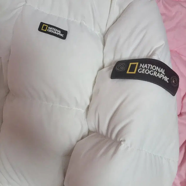 [BUNJANG] National Geographic Duck Down Short Padded Jacket / 급처상태양호!내셔널지오그래픽 오리털 다운 숏패딩 점퍼 구찌,발렌시아가느낌