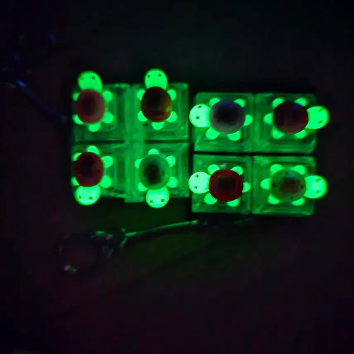 [BUNJANG] LED Glow-in-the-Dark Turtle Keycap Keyring / 야광거북이 키캡키링