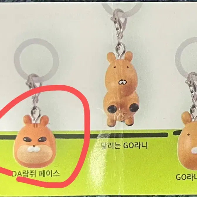 [BUNJANG] Gorani Squirrel Face Mezushi Gacha Mascot / go라니 고라니 메지루시 가챠 다람쥐 da람쥐